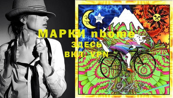 амф Новозыбков