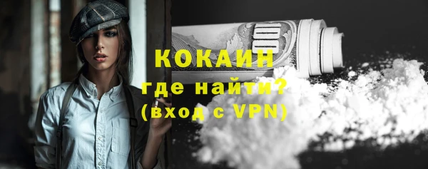 амф Новозыбков