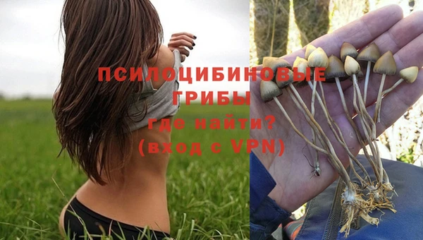 таблы Белокуриха
