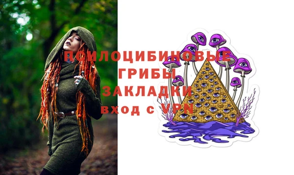 амф Новозыбков