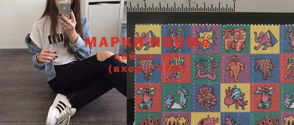 амф Новозыбков