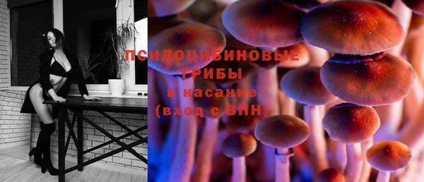 хмурый Няндома