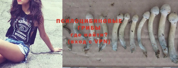 амф Новозыбков
