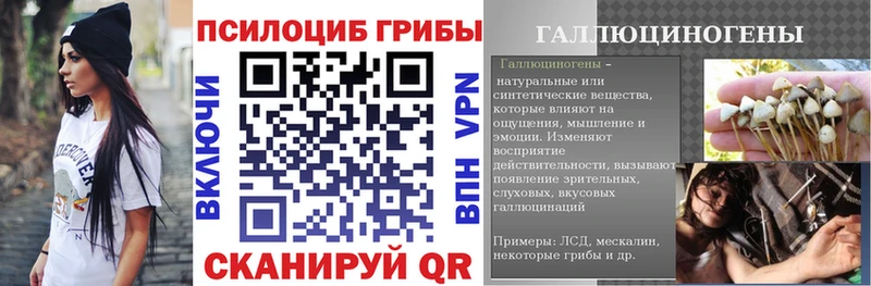 Галлюциногенные грибы Psilocybe  Красноуфимск 